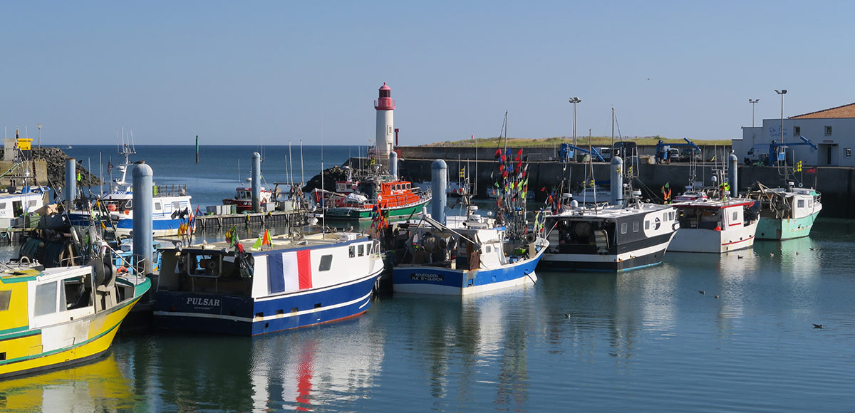 Port de la Cotinière - Ile d'Oléron