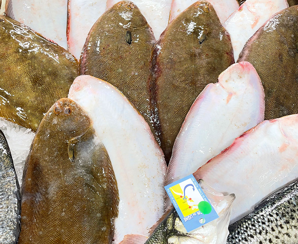 soles-pecheries-la-cotiniere