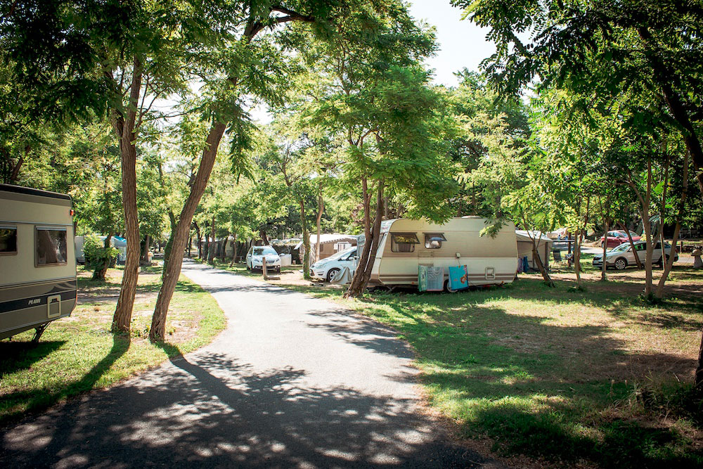 Camping à Oléron, semi ombragé et nature