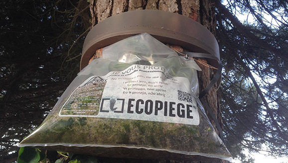 Ecopiège chenilles pocessionnaires